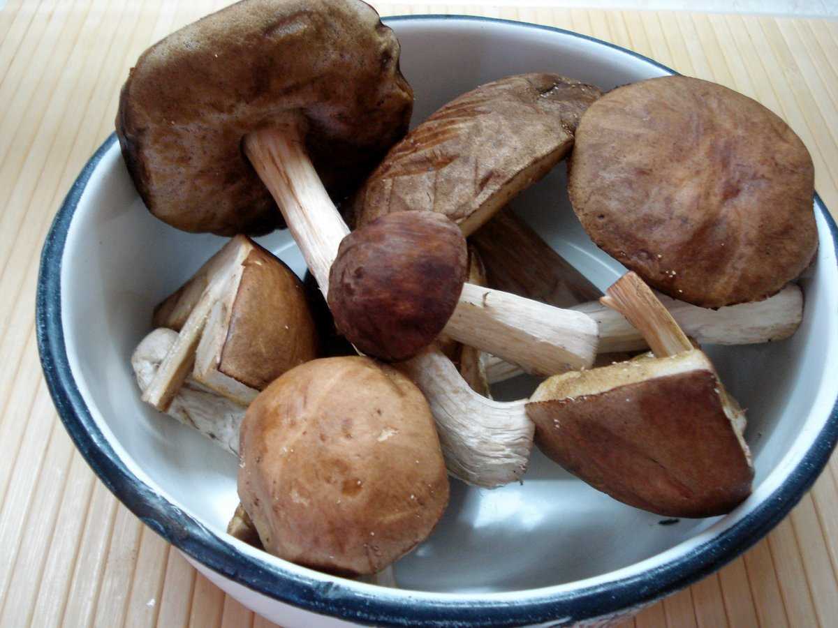 Жульен с грибами: топ-4 рецепта, как приготовить в домашних условиях