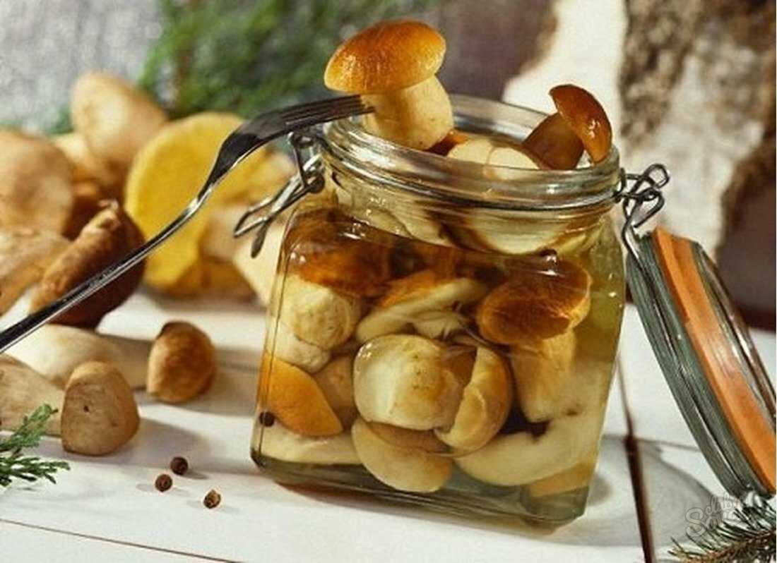 Грибы лисички жареные – как приготовить: лучшие рецепты. как пожарить лисички на сковороде с картошкой, луком, морковью, сметаной, сырые, замороженные, вареные, консервированные: рецепты, секреты приготовления жареных грибов