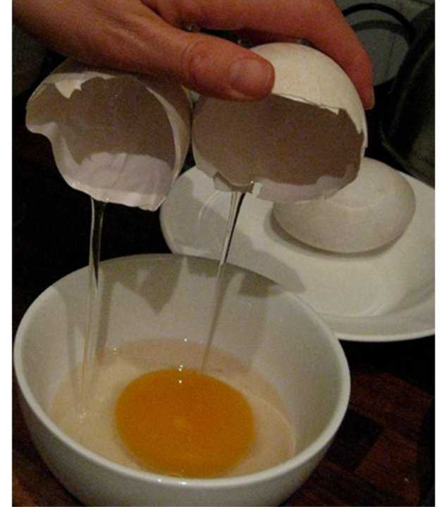 Бисквит из гусиных яиц рецепт с фото