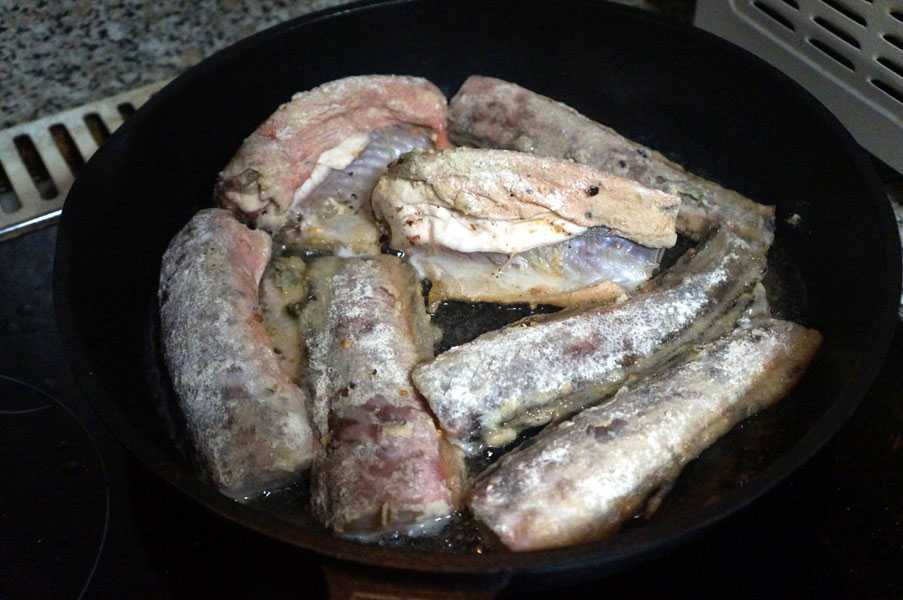 Креветочная рыба конгрио или морской угорь: польза и вред, интересные рецепты