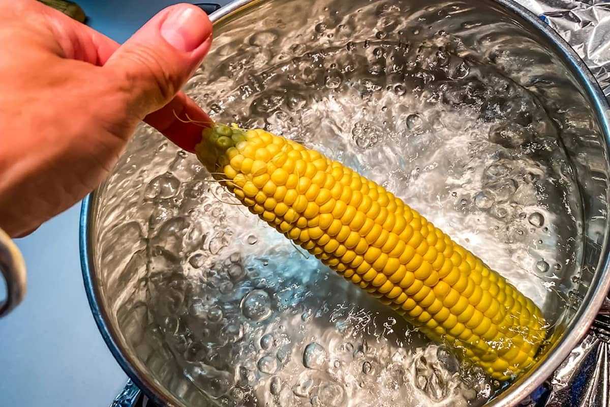 Сколько, в чем и как можно варить кукурузу?