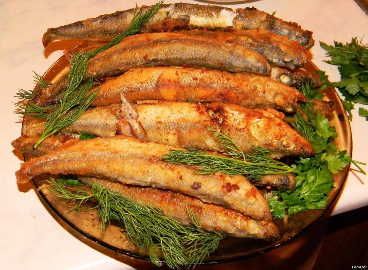 Рыба путассу: польза и вред для организма, фото, использование в кулинарии
