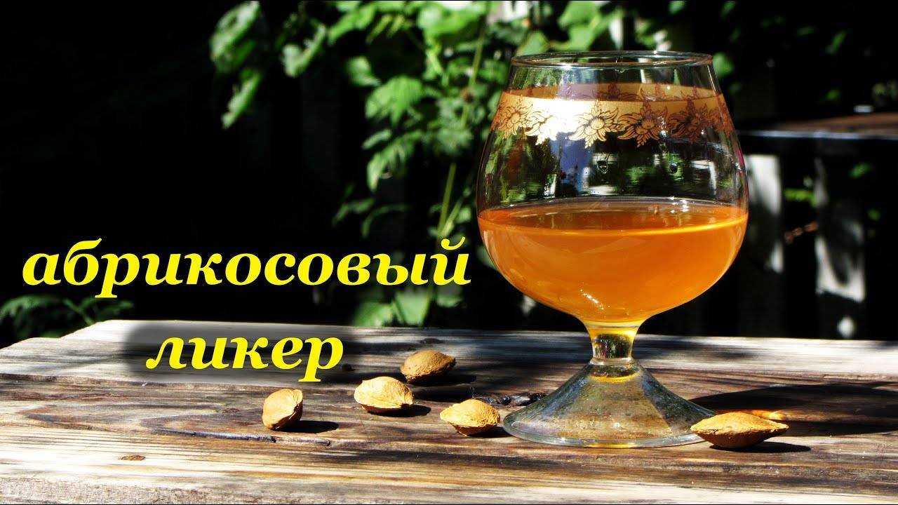 Абрикосовый ликер – выбор качественного напитка, как приготовить в домашних условиях