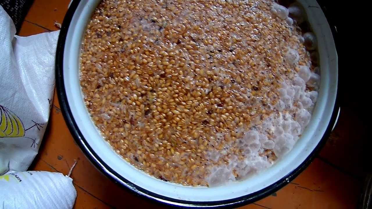Самогон из пшеницы домашний рецепт с фото