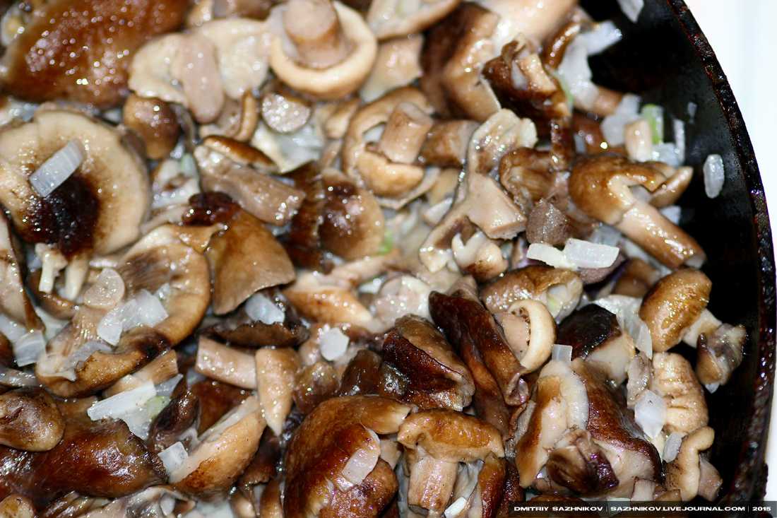 Трюфель гриб: вкус, как выглядит, где растёт, как готовить