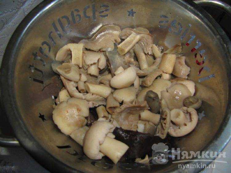 Сыроежки: рецепты приготовления жареных грибов на сковороде