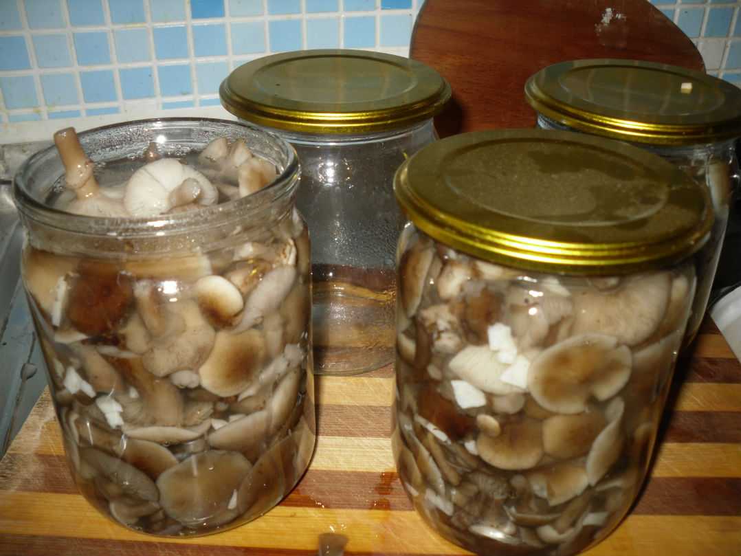 Нужно ли варить грибы лисички: сколько варятся, как отварить, перед жаркой, до готовности, в супе