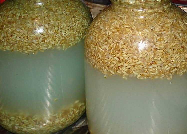 Самогон из пшеницы, рецепт с дрожжами