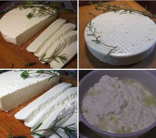 Адыгейский сыр в домашних условиях — 6 вариантов приготовления