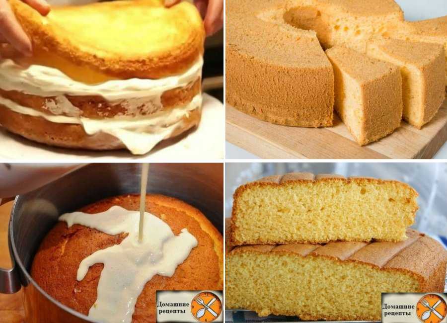 Бисквитные торты, 78 рецептов, фото-рецепты