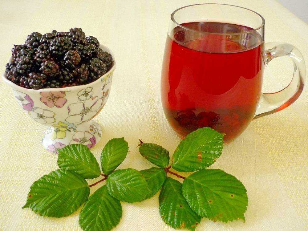 Польза и вред чая из малиновых листьев