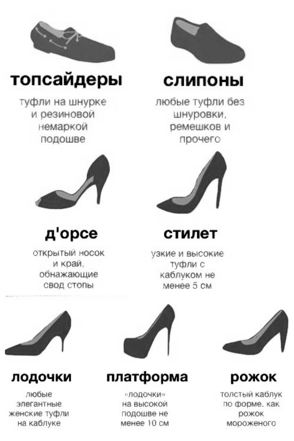 Все виды женской обуви сегодня – учимся разбираться в фасонах, типах и формах женских туфель и ботинок