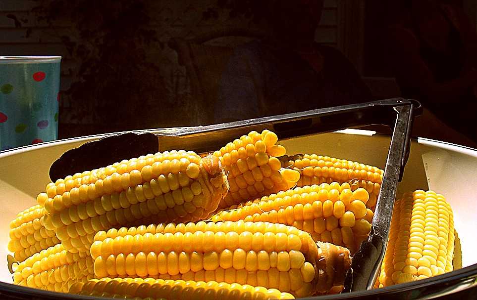 Как и сколько варить кукурузу в початках в кастрюле, чтобы она получилась мягкой и сочной