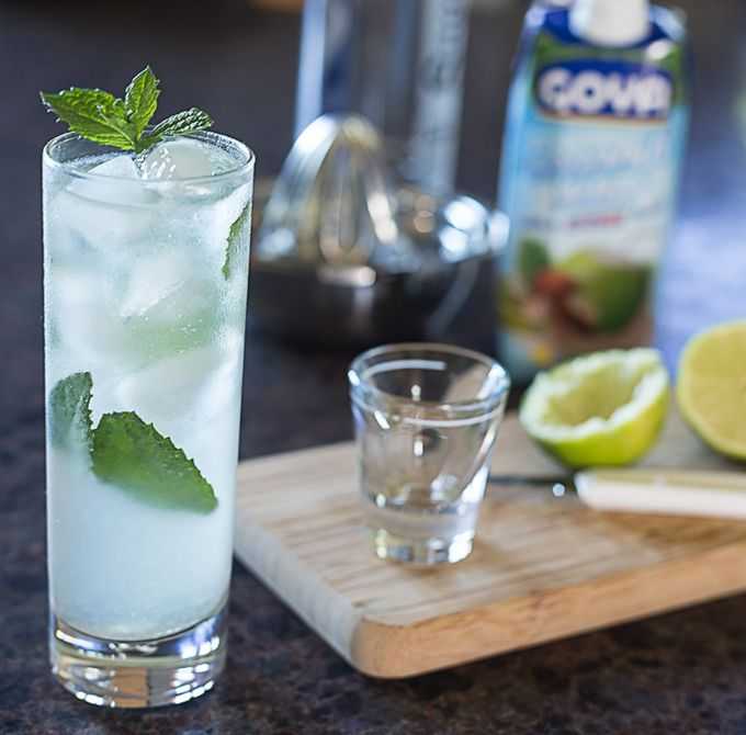 Алкогольный коктейль мохито – 3 рецепта приготовления напитка в домашних условиях