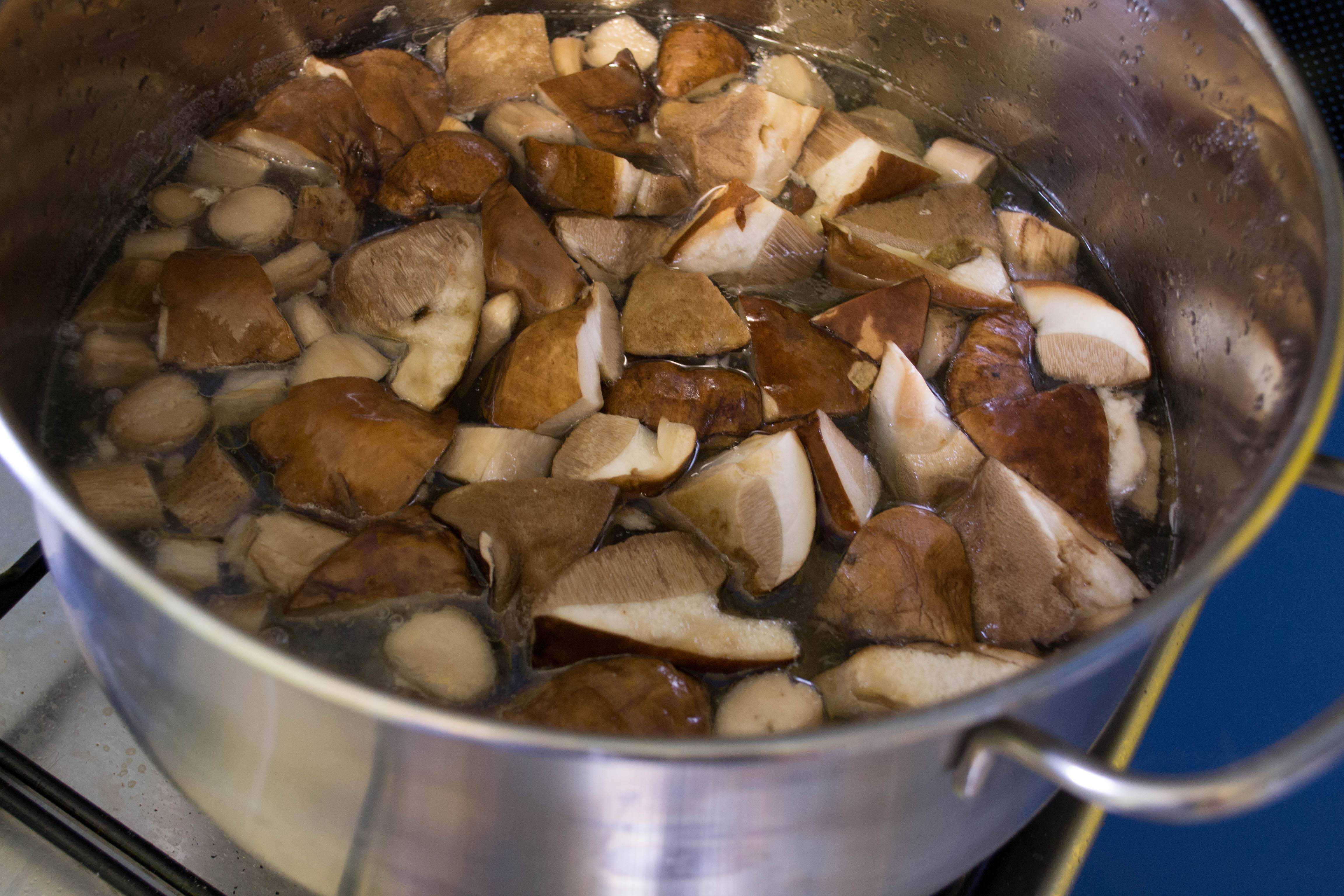 Как приготовить жульен с грибами, как подавать (рецепты)