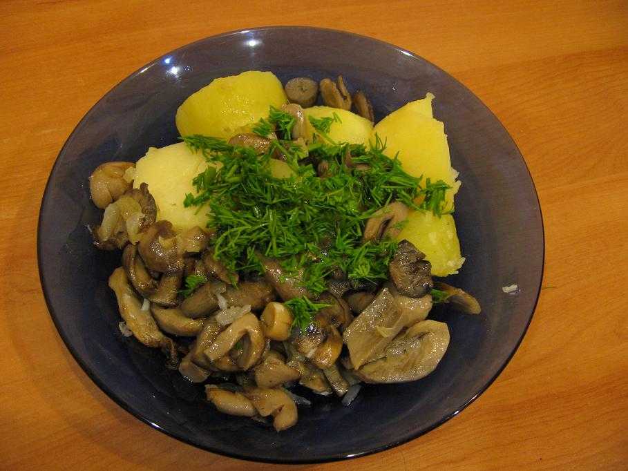 Как приготовить грибы сыроежки. как приготовить сыроежки жареные с картошкой