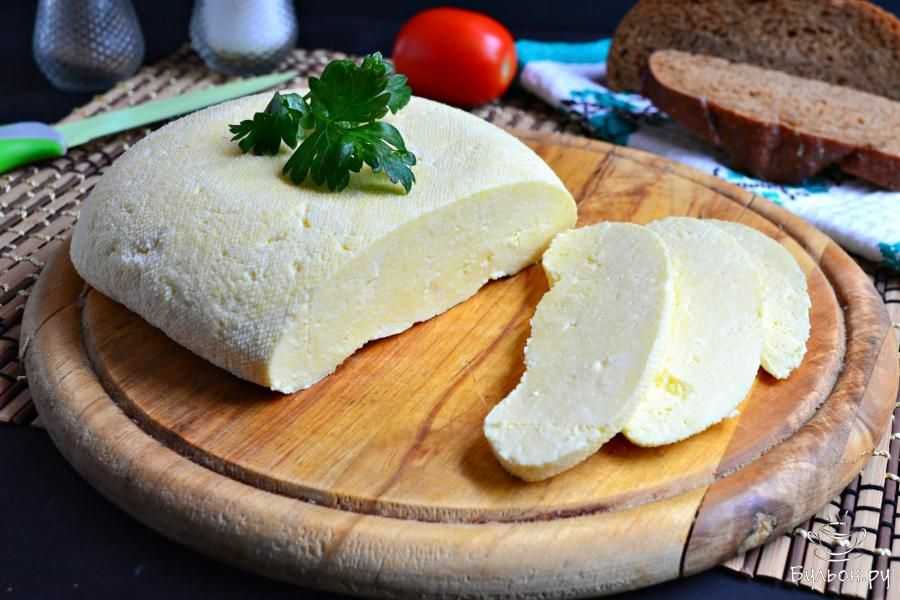Адыгейский сыр в домашних условиях: вкусный под любым названием! рецепты приготовления домашнего адыгейского сыра