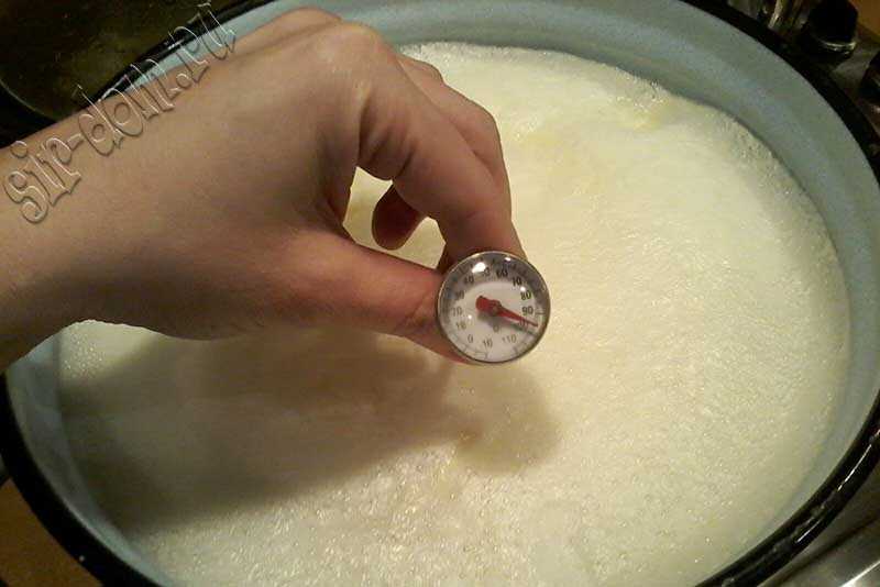 Сыр «рикотта»: для чего используют? особенности его приготовления и рецепты с ним