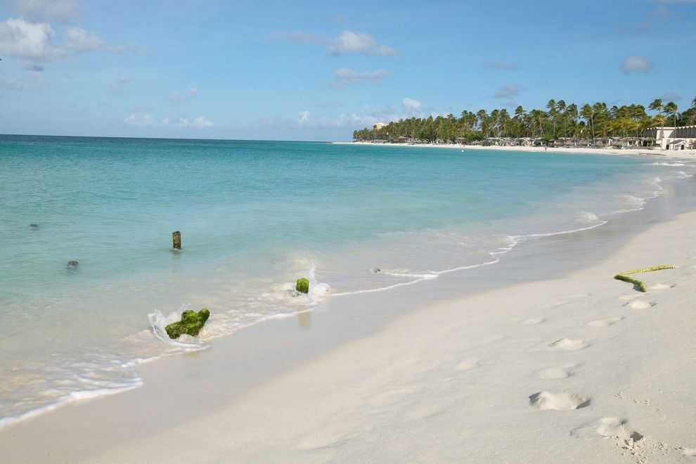Аруба: отдых на острове фламинго в карибском море - kuku.travel