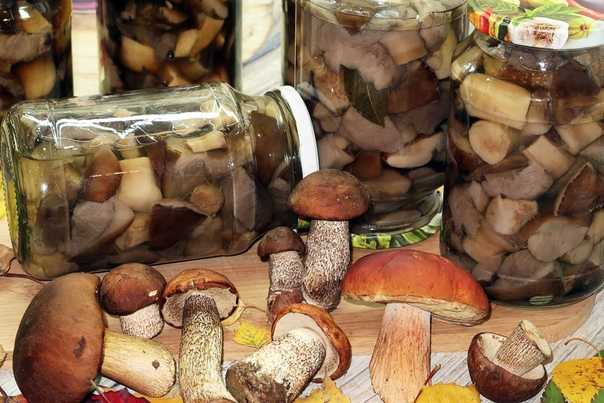 Как и сколько варить грибы перед жаркой, заморозкой, для маринования, супа? как и сколько варить свежие, замороженные и сушеные грибы?