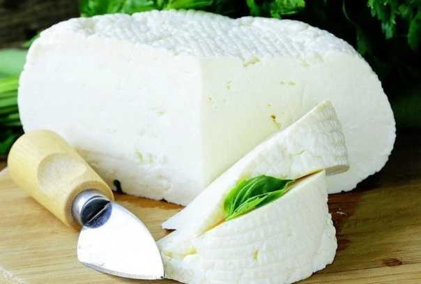 Сыр чанах: польза, вред, состав, с чем едят, что приготовить