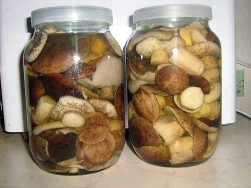 Как солить грибы вкусно и правильно - грибы собираем