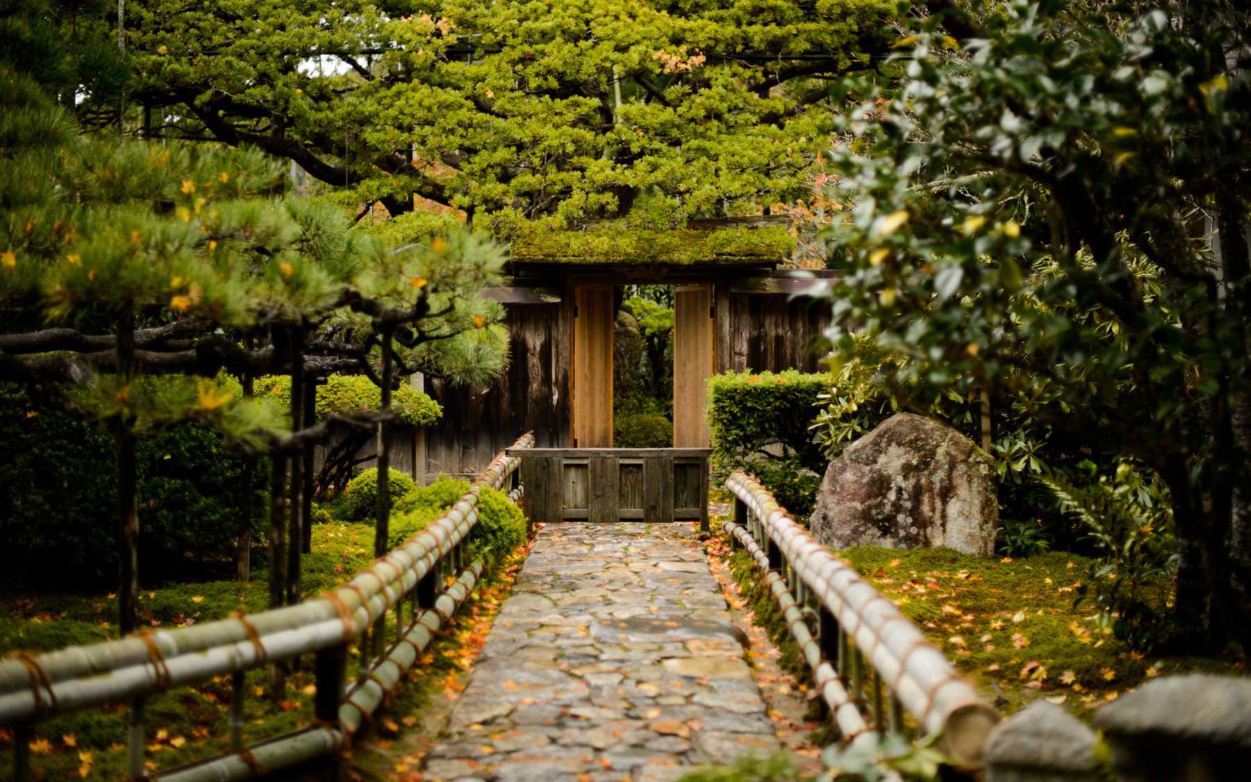 Храм сад Киото