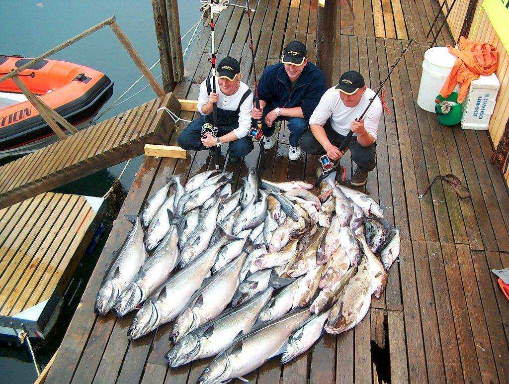 Рыбалка в норвегии: особенности, где можно ловить, какая рыба водится