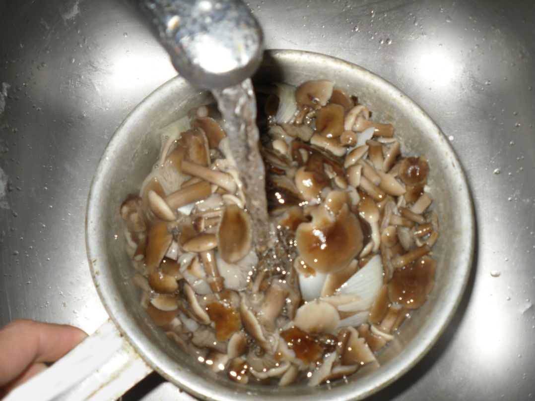 Замочила грибы в воде. Промывание грибов. Грибы в раковине. Червяки в соленых опятах. Перебирать грибы.