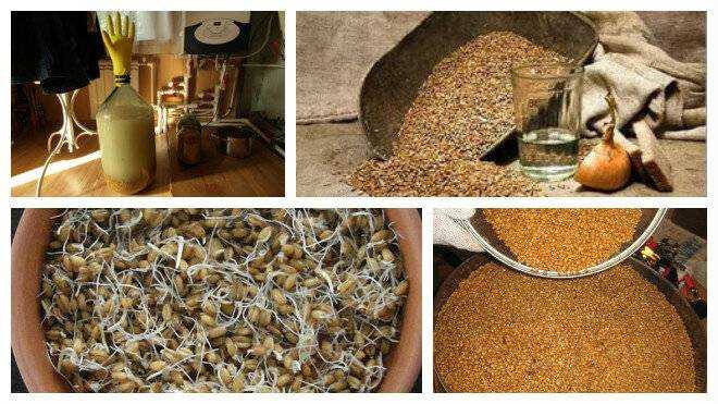 Зерновая брага: простые пошаговые рецепты приготовления