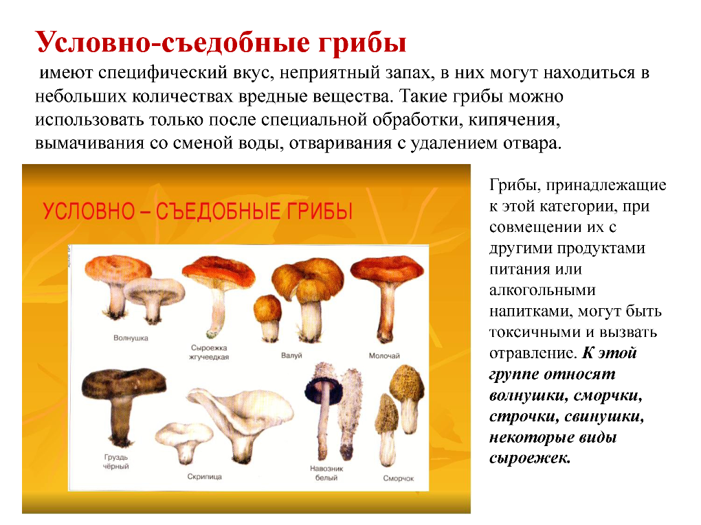 Таблица грибов. Грибы съедобные условно съедобные и ядовитые. Съедобные грибы условно съедобные грибы и ядовитые грибы. Съедобные условно съедобные и ядовитые грибы таблица. Грибы ядовитые несъедобные условно съедобные.