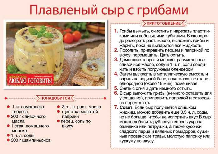 Козий сыр: топ-6 рецептов, как приготовить